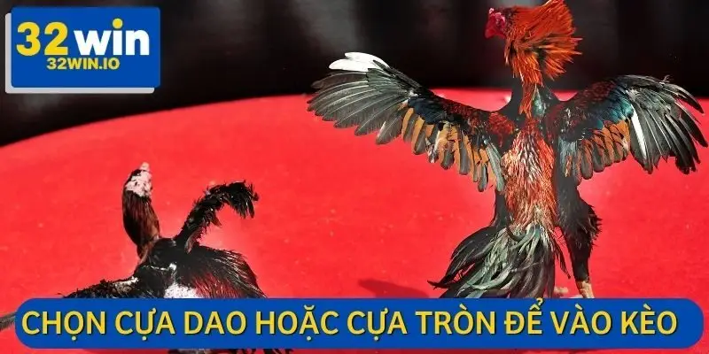 Cơ hội chứng kiến những trận chiến khốc liệt nhất